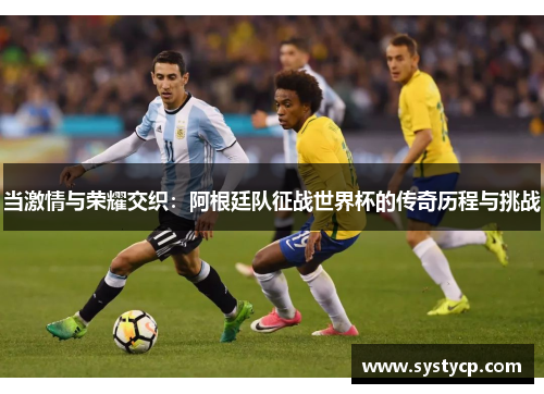 当激情与荣耀交织：阿根廷队征战世界杯的传奇历程与挑战